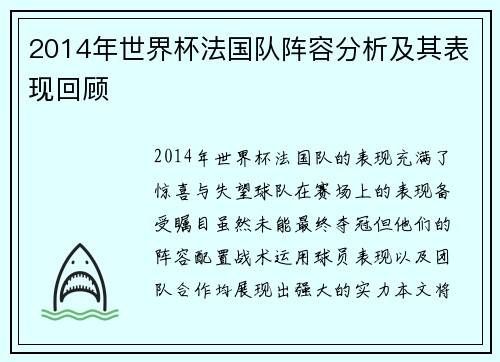 2014年世界杯法国队阵容分析及其表现回顾