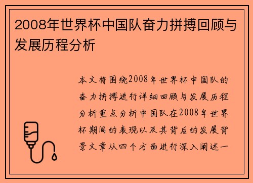2008年世界杯中国队奋力拼搏回顾与发展历程分析