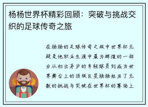 杨杨世界杯精彩回顾：突破与挑战交织的足球传奇之旅